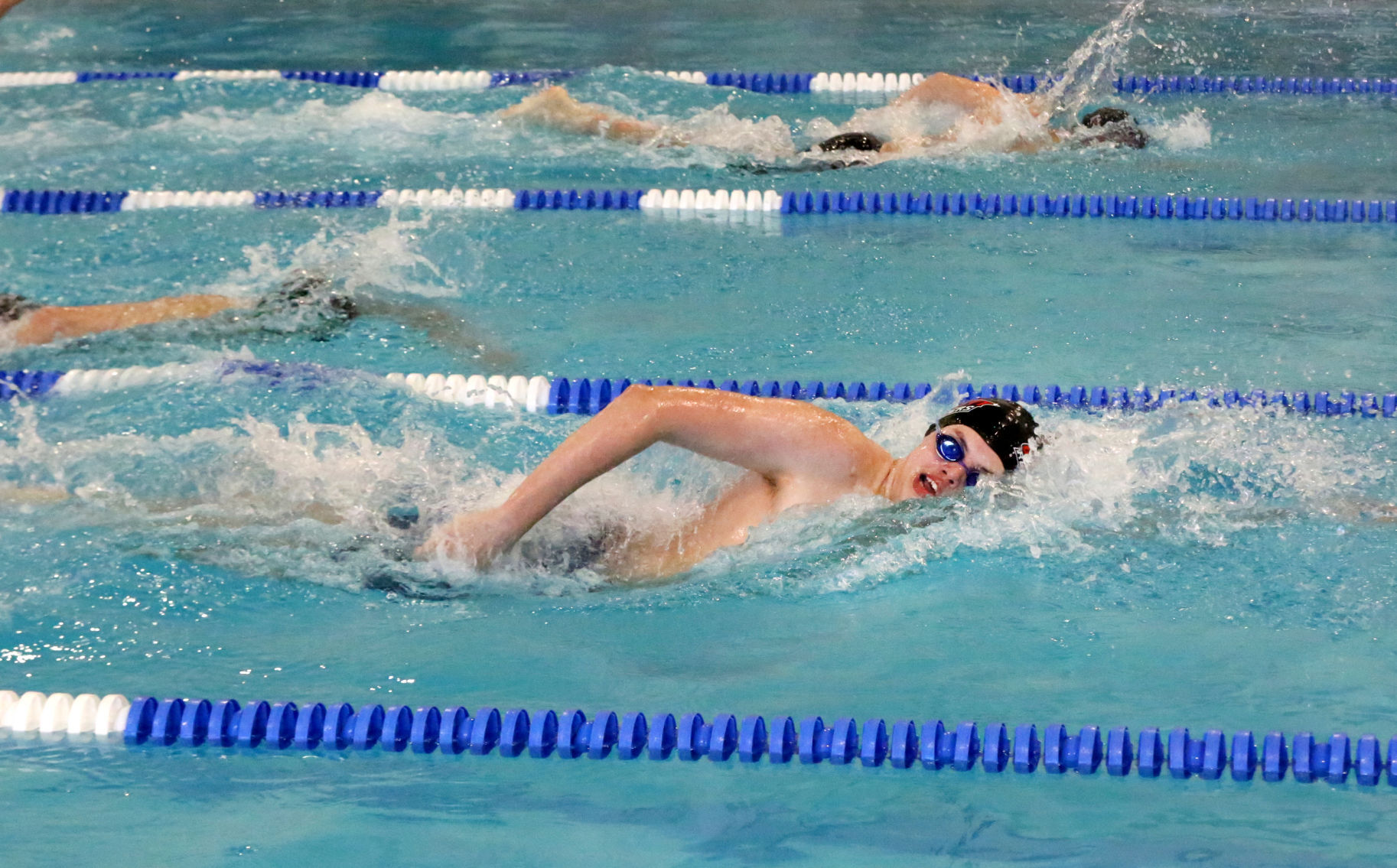 Ocean City Ridley Swimming
